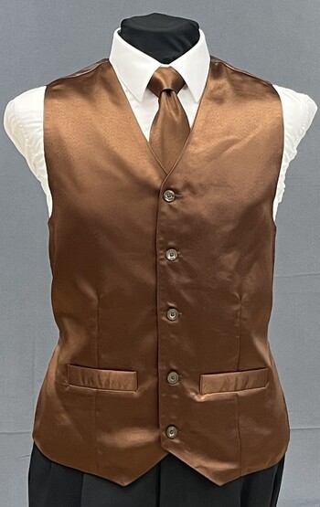 Brown Solid Vest