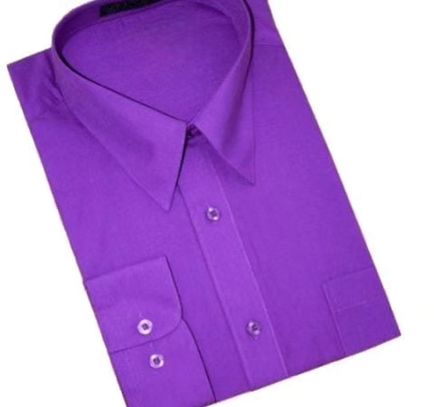 Slim Fit Purple Shirt